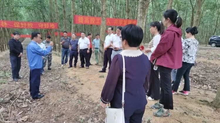 全國割膠冠軍張健給各單位學員做標準化膠園建設及割膠技術的經驗介紹。.jpg